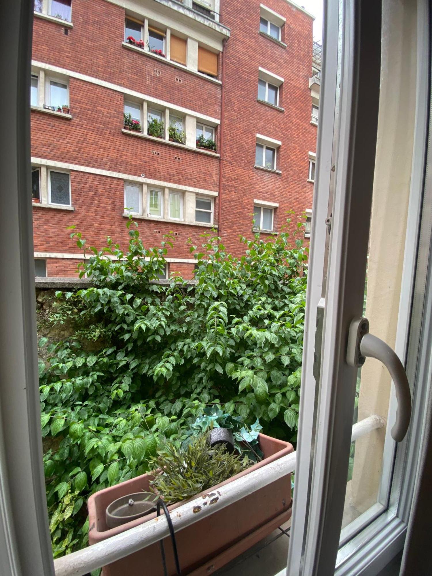 Studio Rue Lacepede Paris Eksteriør bilde